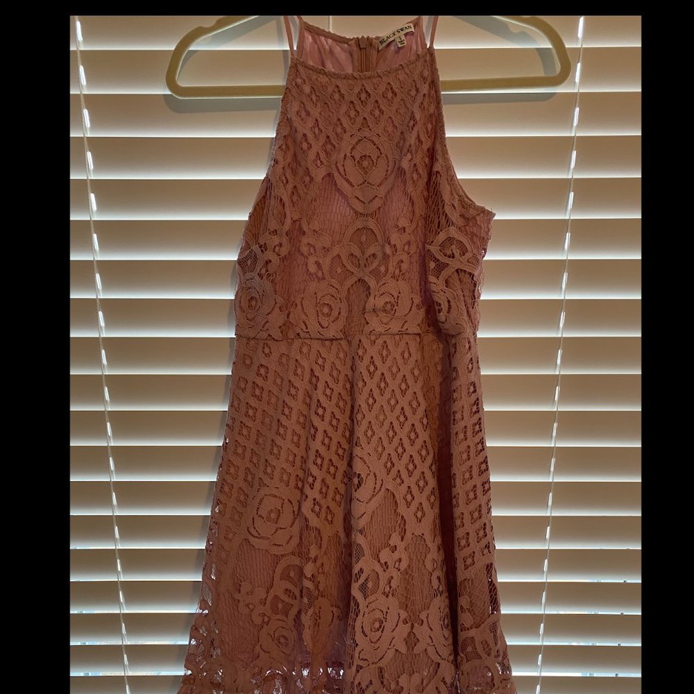Black Swan size 0. Pink lace dress.